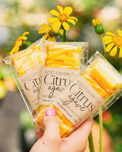 Load image into Gallery viewer, Wax Melt Snap Bar